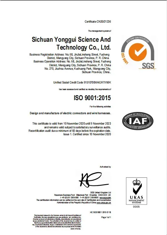 iso 9001 2015 sgs