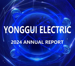 Yonggui Electric 2024 Annual Report Highlights
