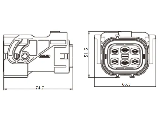 The Details of YGEV2-6Pin