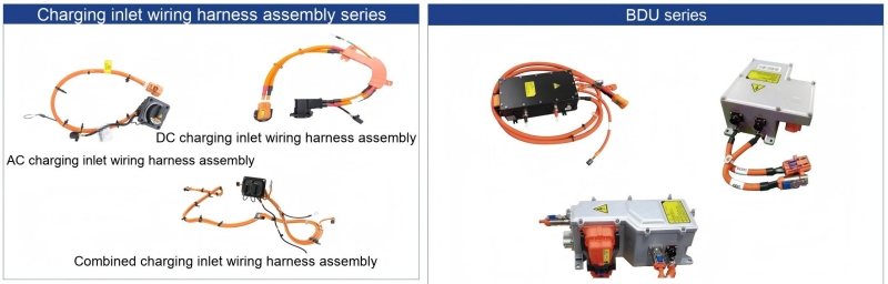 high-voltage-wiring-harness-assembly.jpg